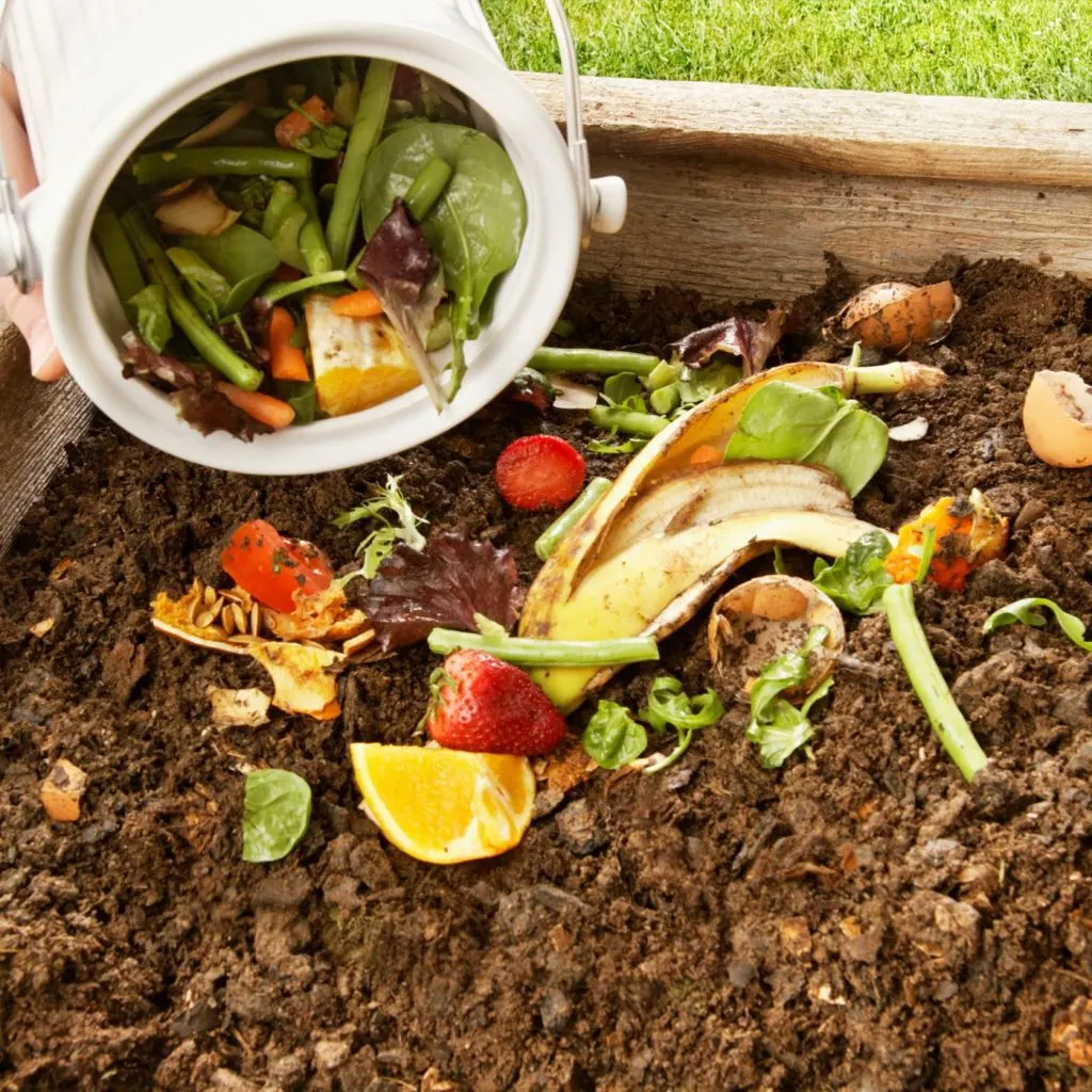 Cheap Compost: Where To Get It And What To Watch For | The Not So Modern Housewife Cheap Compost: Where To Get It And What To Watch For