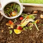Cheap Compost: Where To Get It And What To Watch For