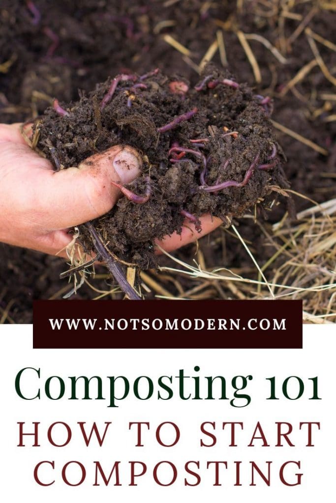 Worms in compost - Composting 101 - How to Start Composting