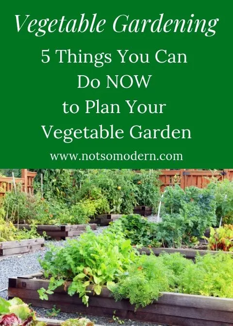 planning a vegetable garden | The Not so Modern Housewife