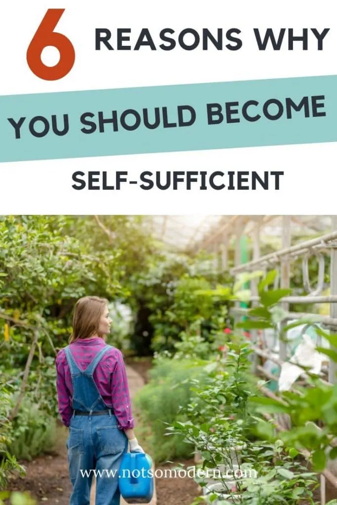 6 reasons why you should become self sufficient