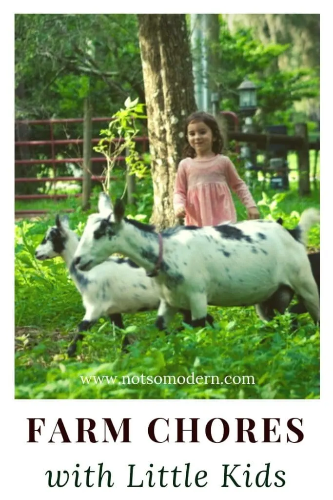 young girl with goats in grass - farm chores with little kids