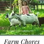 little girl with black and white goats in grass - Farm Chores with Little Kids