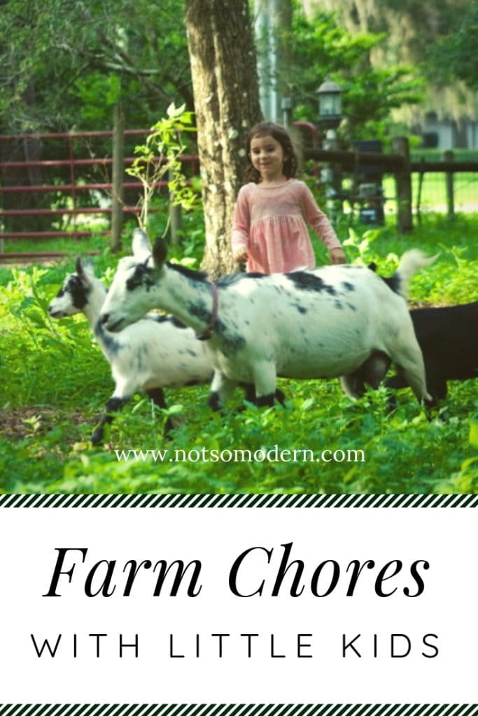 little girl with black and white goats in grass - Farm Chores with Little Kids
