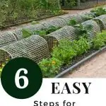 garden with row covers for organic pest control - 6 Easy Steps for Organic Pest Control