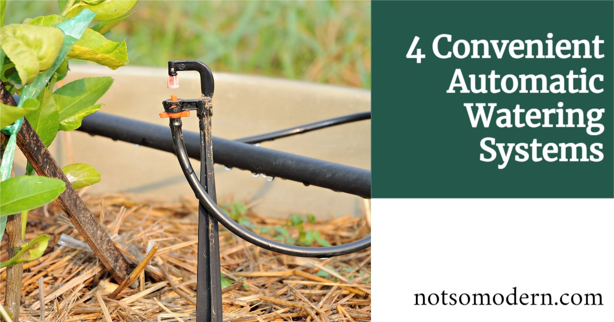 Top 4 Convenient Automatic Watering Systems for Potted Plants