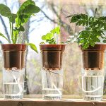Top 4 Convenient Automatic Watering Systems for Potted Plants