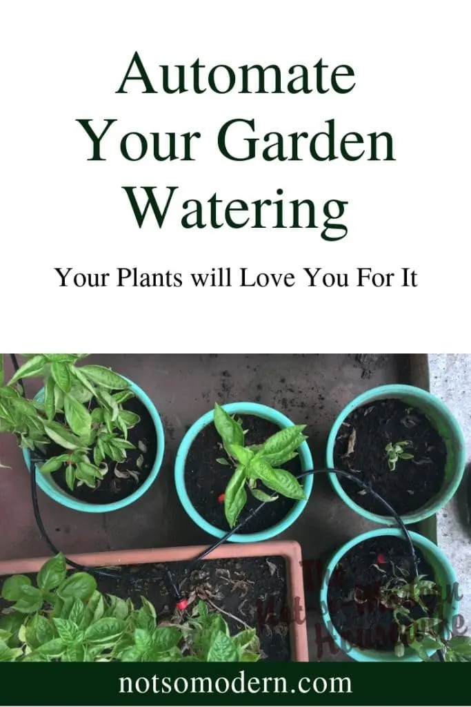 Automate your garden watering - irrigation tube watering plants in containers