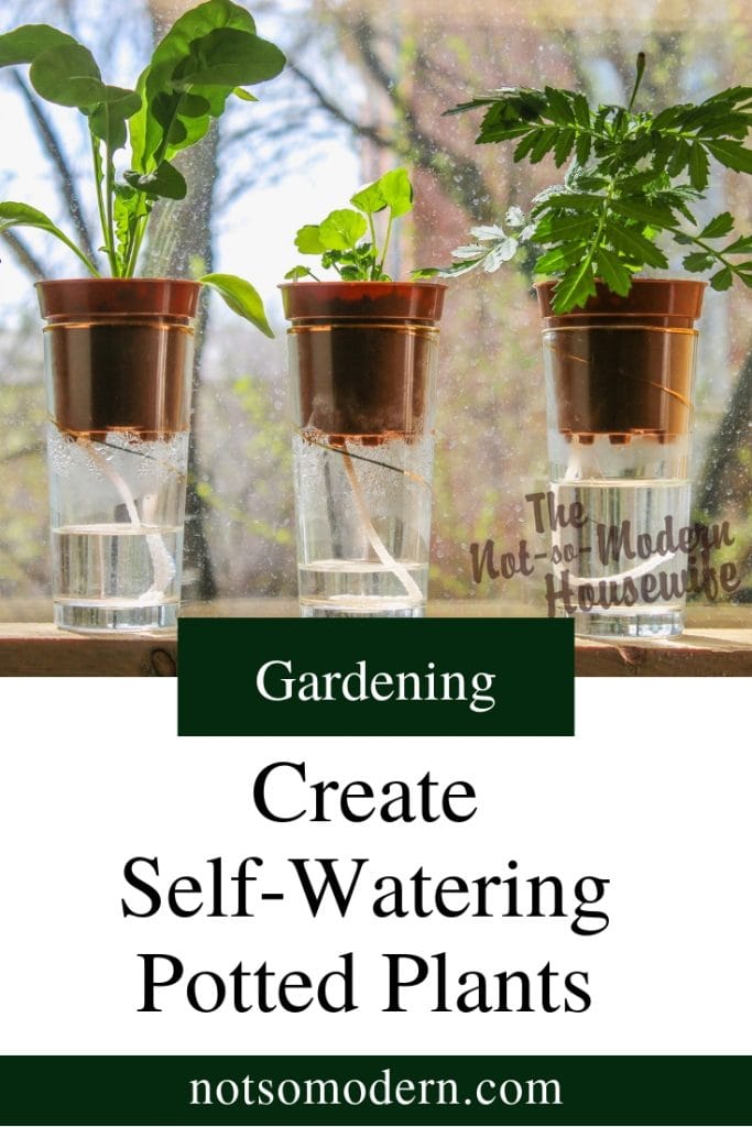 potted plants using wick watering - Gardening - Create Self-Watering Potted Plants