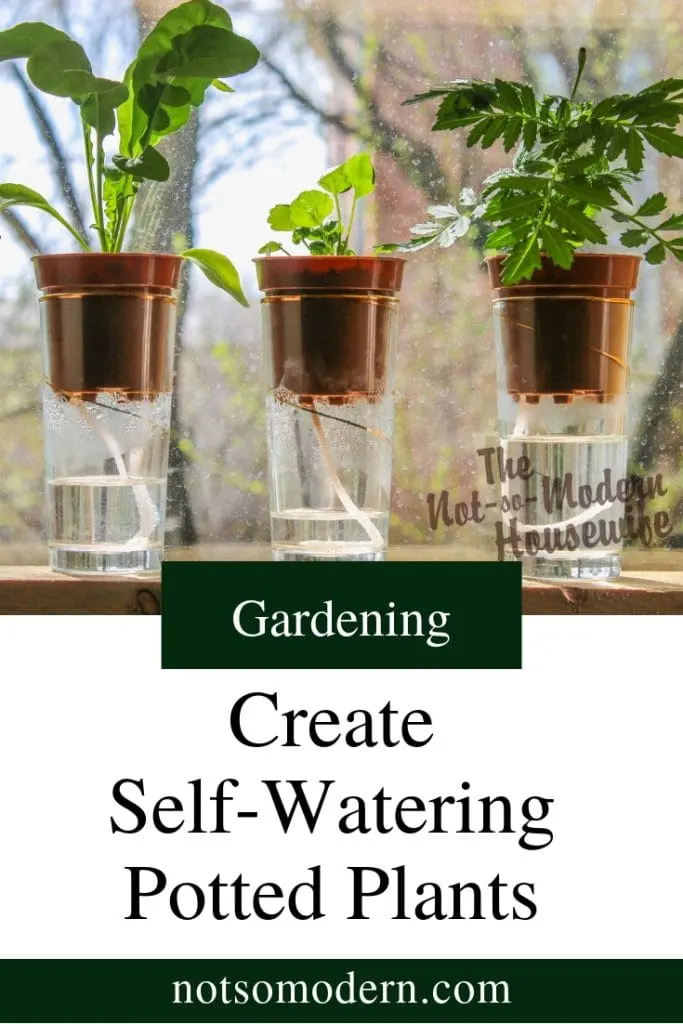potted plants using wick watering - Gardening - Create Self-Watering Potted Plants