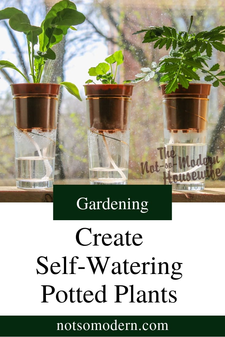 4 Brilliant Self Watering System for Pots That Make Gardening Easy