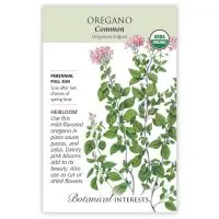Common Oregano Seeds - Organic, Heirloom