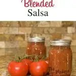 homemade salsa | The Not So Modern Housewife
