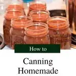 homemade salsa | The Not So Modern Housewife