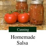 homemade salsa | The Not So Modern Housewife