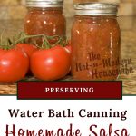 homemade salsa | The Not So Modern Housewife