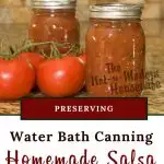 homemade salsa | The Not So Modern Housewife