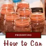 homemade salsa | The Not So Modern Housewife