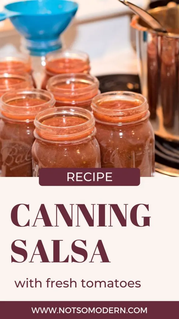 homemade salsa | The Not so Modern Housewife