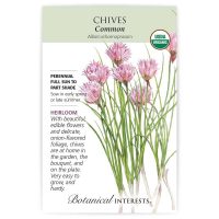 Common Chives - Organic, Heirloom