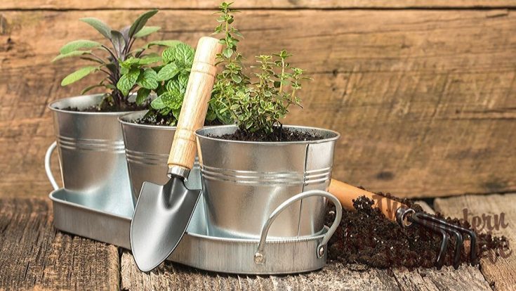 indoor herb garden kit | The Not So Modern Housewife