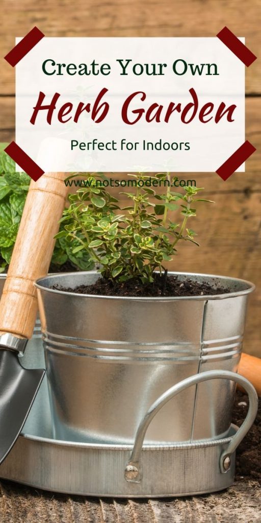 Create your own Herb Garden - Perfect for Indoors - small thyme herb plant growing in a container garden