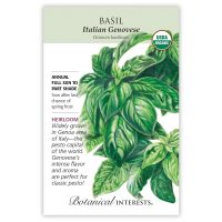 Italian Genovese Basil - Organinc, Heirloom