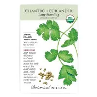 Long Standing Cilantro - Organic, Heirloom