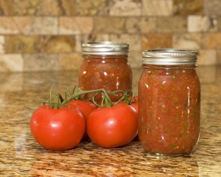 homemade salsa | The Not So Modern Housewife