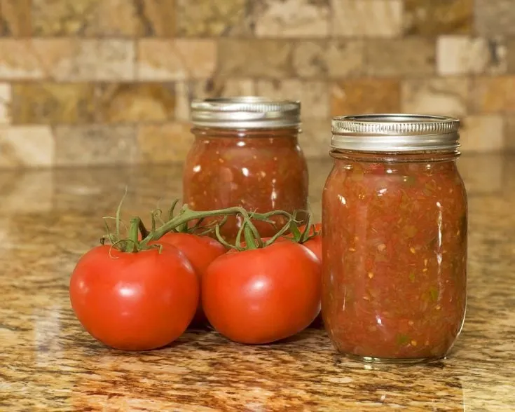 homemade salsa | The Not So Modern Housewife