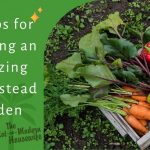 10 Tips for Growing an Amazing Homestead Garden
