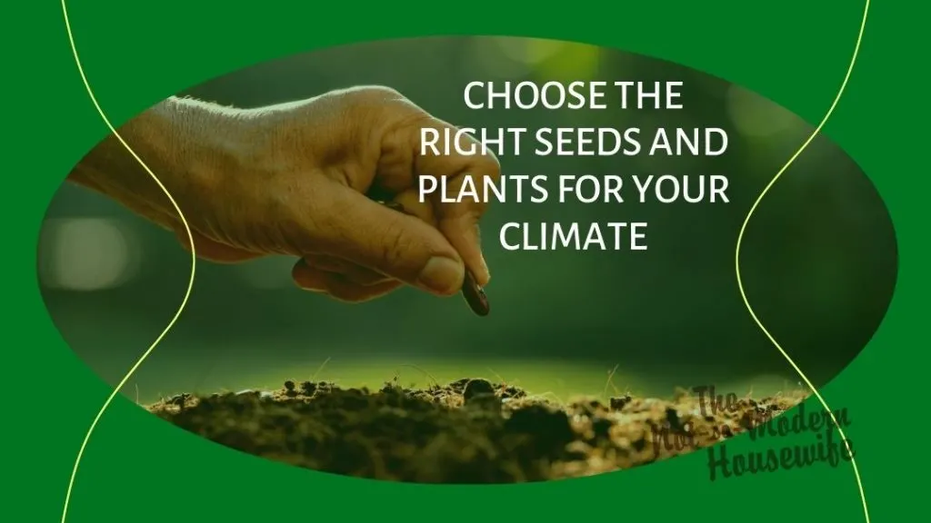 planting seeds in the homestead garden - choose the right seeds and plants for your climate