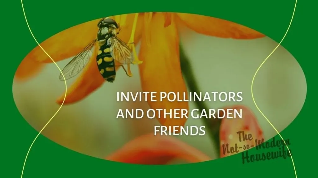 10 Tips for Growing an Amazing Homestead Garden | The Not So Modern Housewife bee on a flower - invite pollinators and other garden friends