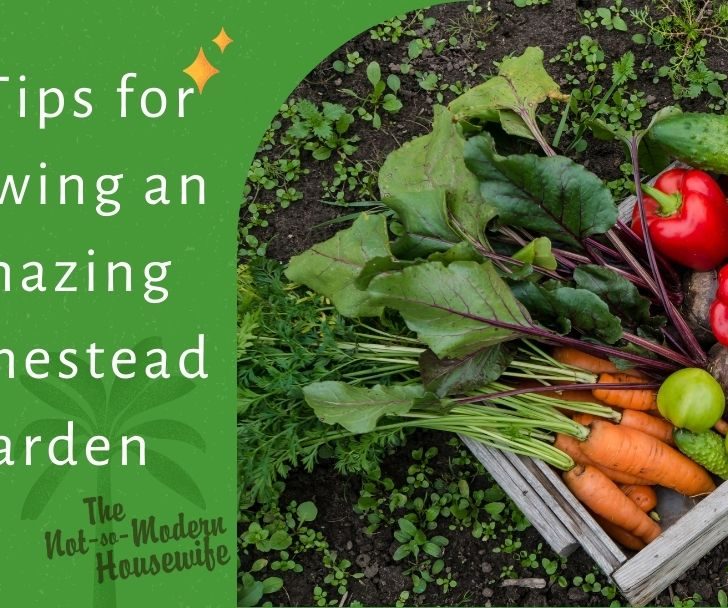 Fresh vegetables from the garden - tips for growing a homestead garden