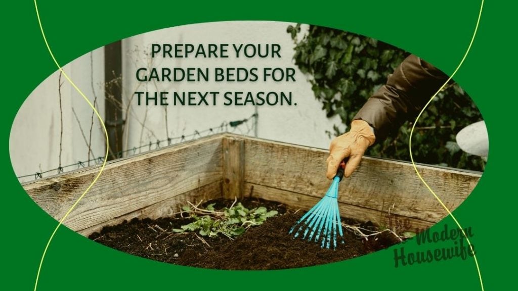 Raking soil in a raised garden bed - Prepare your garden beds for the next season