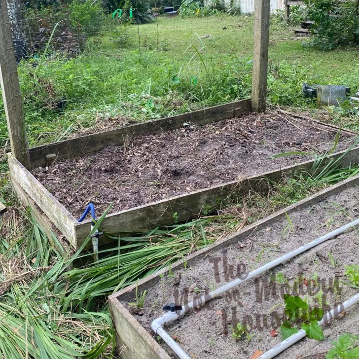 garden beds prepared for next season - weeds pulled and ready for new plants