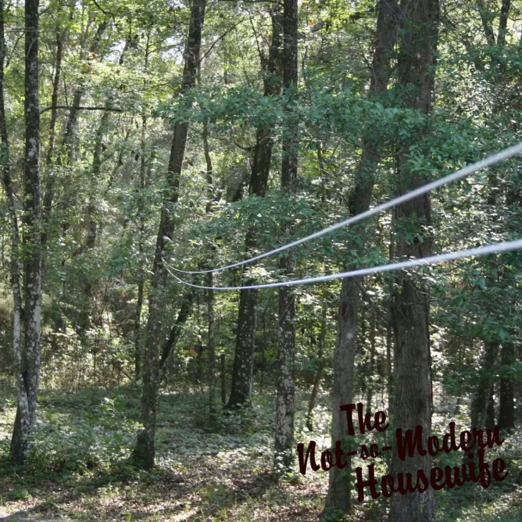 pulley clothesline outdoors hung from a tree