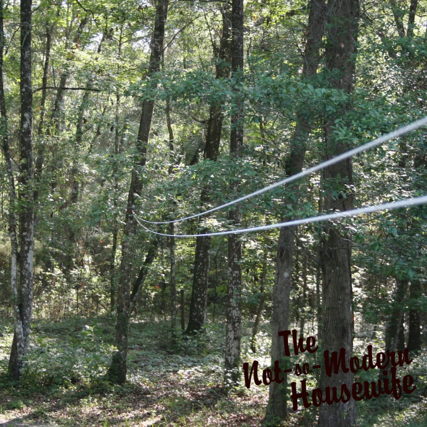 7 Easy Steps to Install a Clothesline with Pulleys