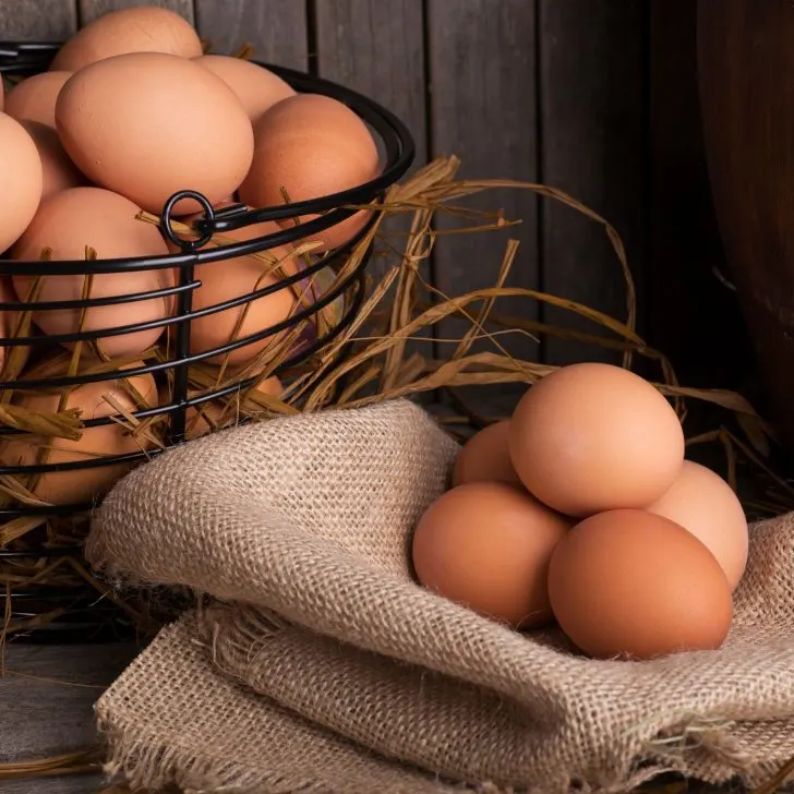 brown eggs on burlap and in black wire egg basket - learn about egg-laying - raising backyard chickens