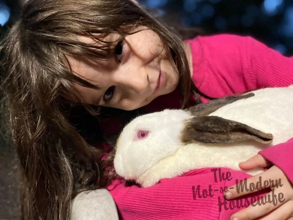 Beginner's Guide to Raising Meat Rabbits | The Not So Modern Housewife young girl with Californian meat rabbit