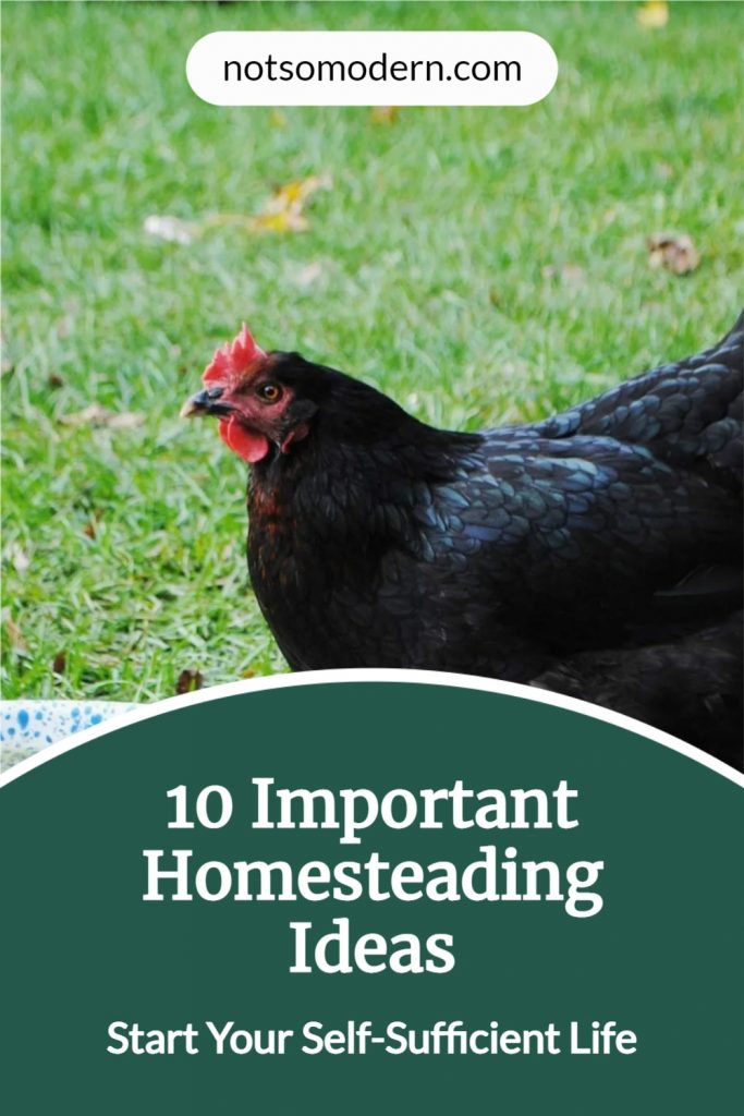 10 Important Homesteading Ideas to Start Your Self-Sufficient Life | The Not So Modern Housewife 10 Important Homesteading Ideas - Start Your Self Sufficient Life