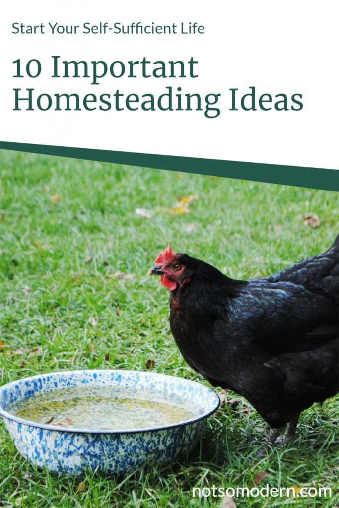 Start Your Self Sufficient Life - 10 Important Homesteading Ideas
