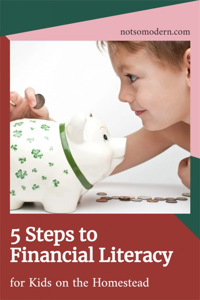5 steps to financial literacy for kids on the homestead