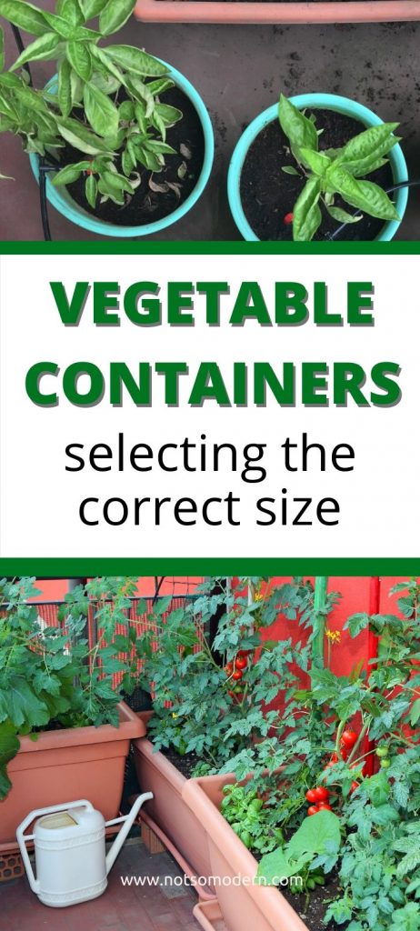 how to select the perfect containers for vegetable gardening