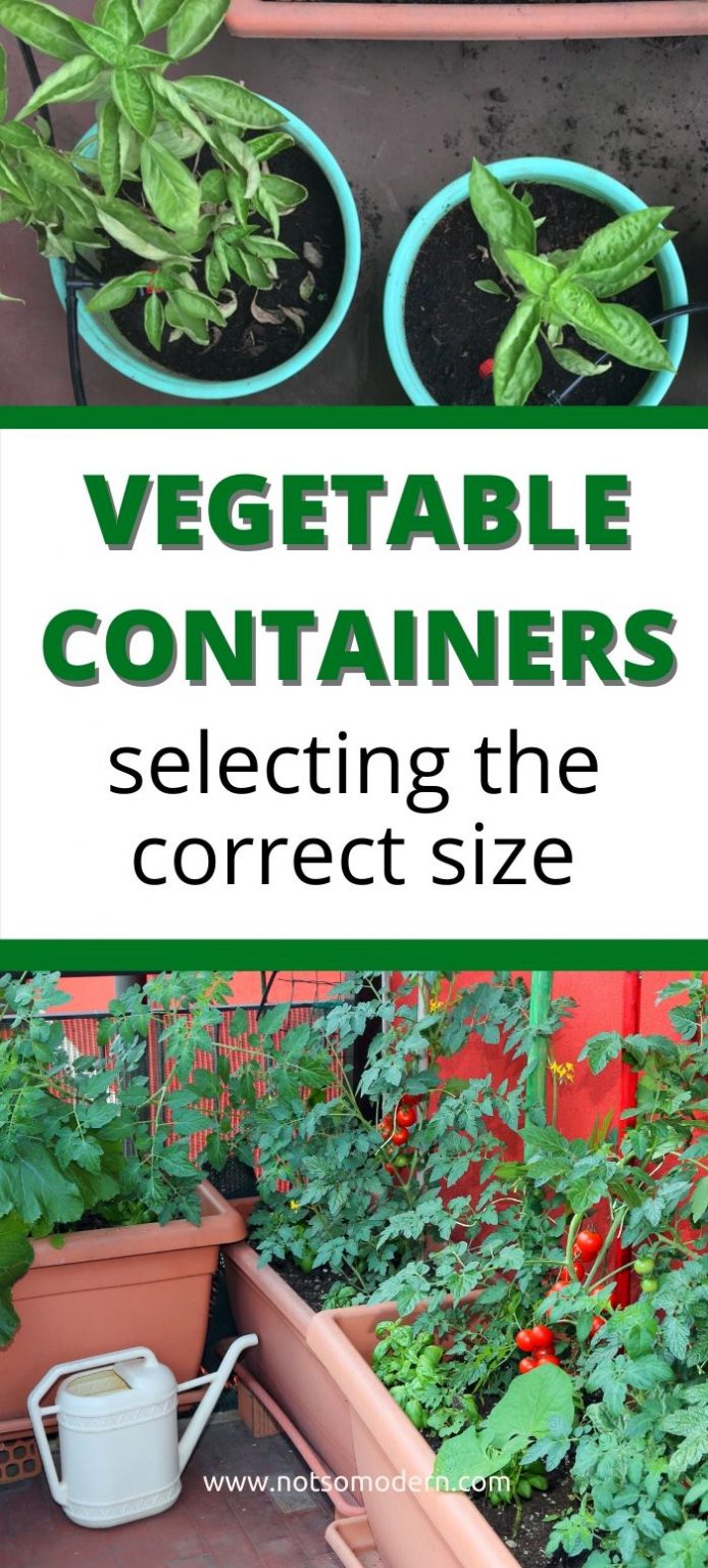 4 Steps to Selecting the Perfect Containers for Vegetable Gardening