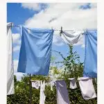 5 steps for a perfect clothesline hang every time