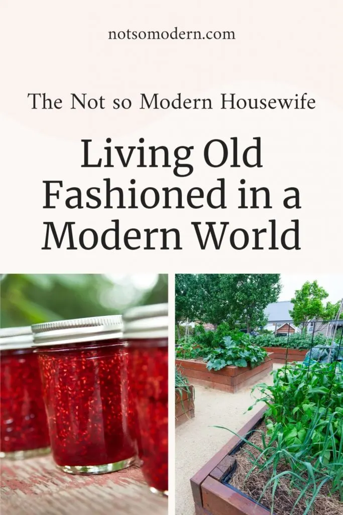 The Not so Modern Housewife - Living Old Fashioned in a Modern World