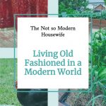 living old fashioned in a modern world | The Not So Modern Housewife