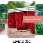 living old fashioned in a modern world | The Not So Modern Housewife