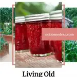 living old fashioned in a modern world | The Not So Modern Housewife